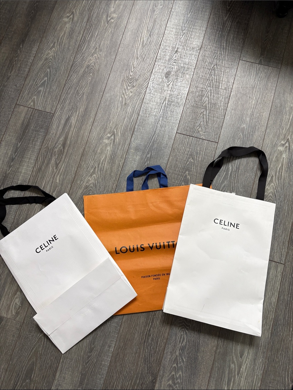 Celine and Louis Vuitton Bags